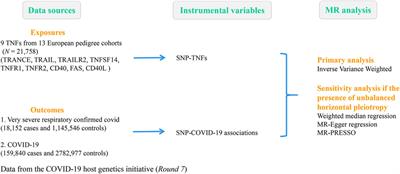 Mendelian randomization analysis identified tumor necrosis factor as being associated with severe COVID-19